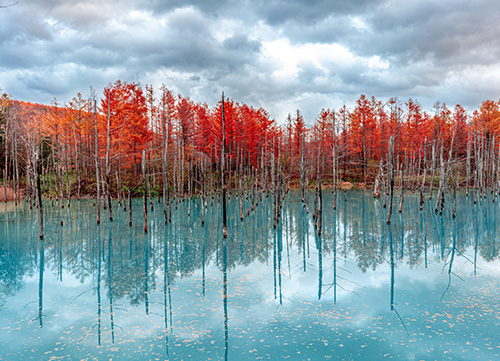 blue water pond with autumnal color trees
