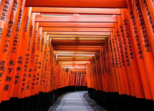 red path of fushimi inari