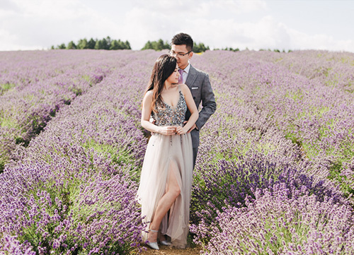 bride and groom posing amongst chinese lavender near oxford
