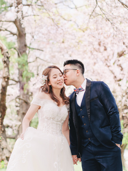 groom kisses bride on cheek in front of japanese sakura cherry blossom